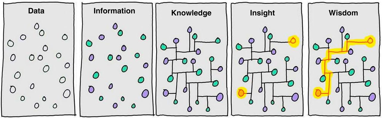 From Data to Wisdom. Illustration of different steps that it takes to go from Data to generating Wisdom. It highlights that generating data is not equal to understanding it and additional efforts are needed to generate value. Image authored by Clifford Stoll and Gary Schubert published by Portland Press Limited on behalf of the Biochemical Society and the Royal Society of Biology and distributed under the Creative Commons Attribution License 4.0 (CC-BY) in (Ponting 2017).