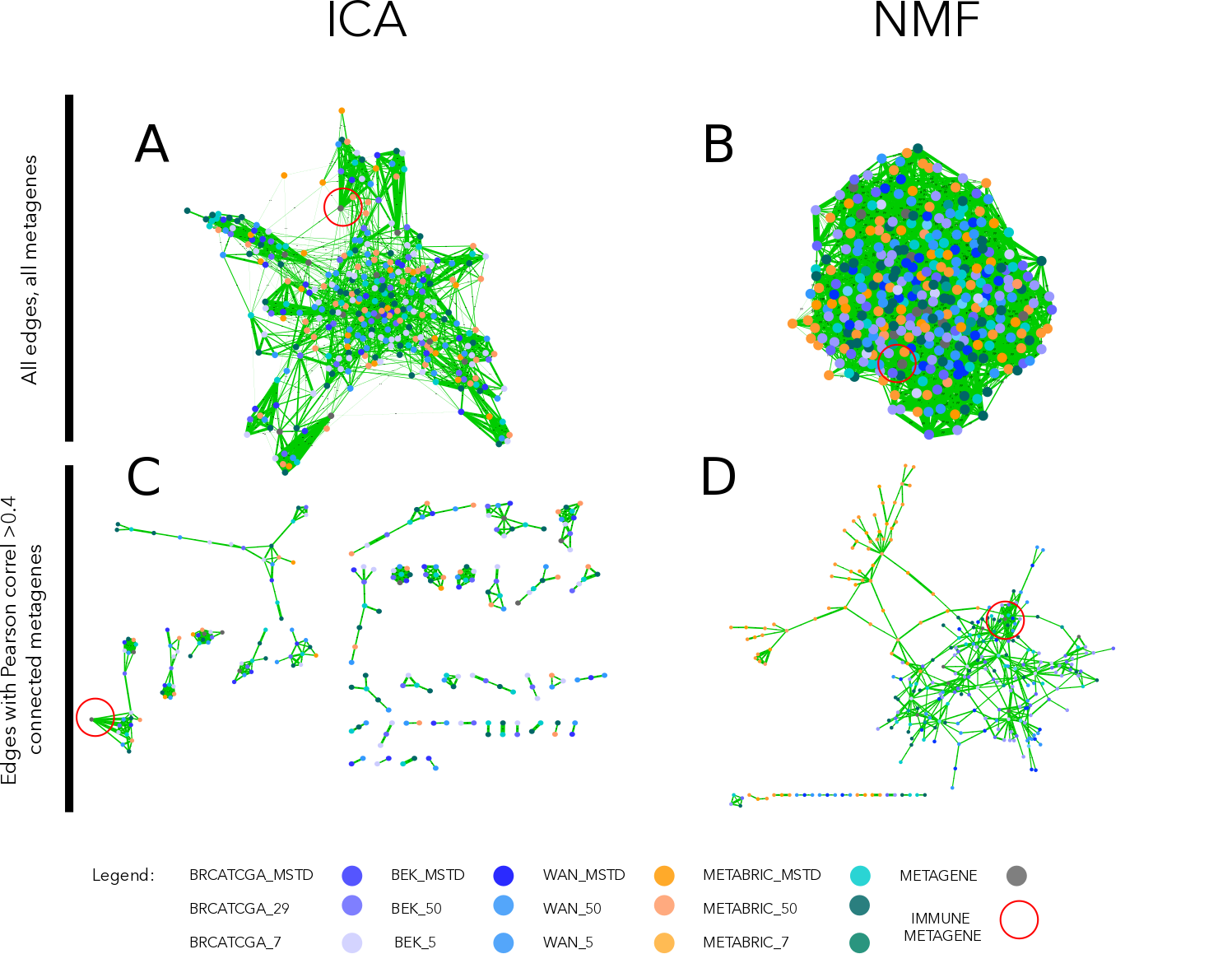 Correlation graph of ICA and NMF multiple decompositions. In the upper part of the figure (A, B) we observe the correlation graph of all metagenes (ICA or NMF-based) displayed using edge-weighted bio layout. In the lower part of the figure (C, D) we applied >0.4 thresholds to filter the edges. In the case of ICA (C), remaining nodes form pseudo-cliques, immune-related pseudo-clique is highlighted. In the case of NMF (D), components cluster by the dataset. Edges’ width corresponds to Pearson correlation coefficient. Node colors correspond to the dataset from which a metagene was obtained (see legend).