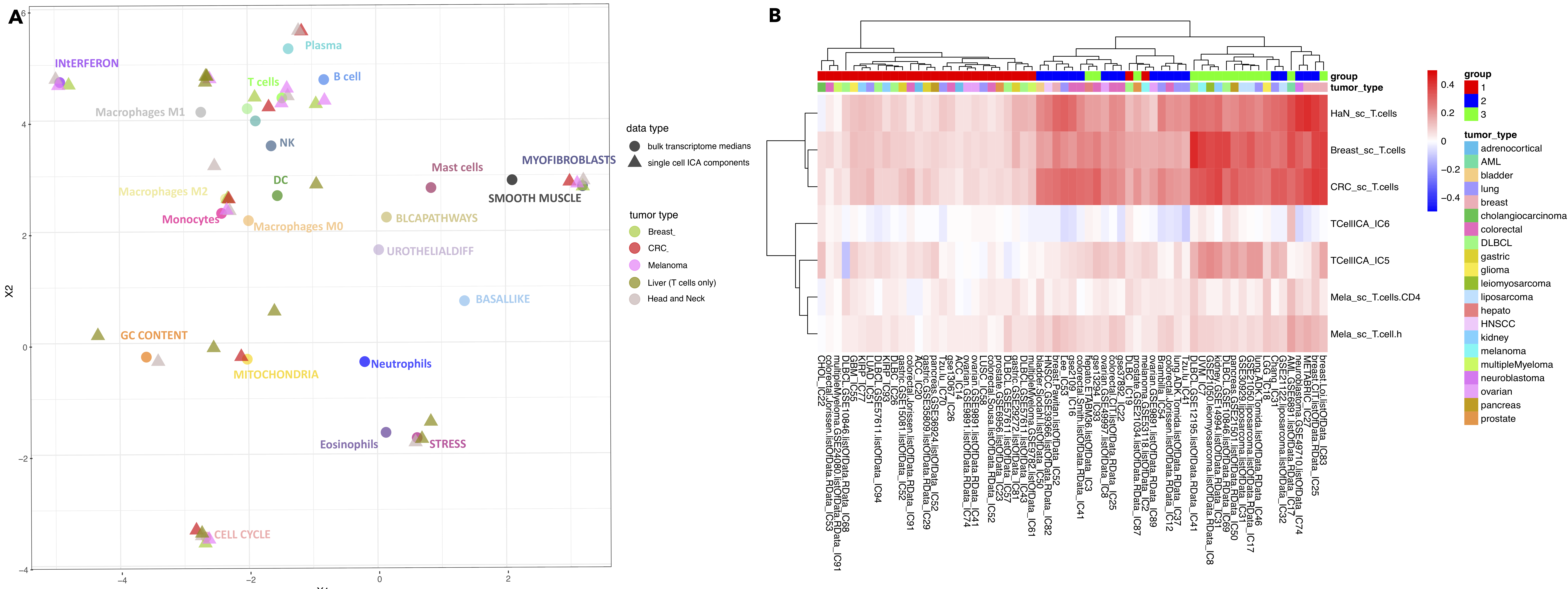 Metagenes from the single cell and bulk transcriptome (A) The components extracted from five single-cell datasets were depicted together with bulk components. Most of the scRNA-seq-derived components integrate well with the established space in proximity to medians of bulk components for cell types or cellular programs. Shapes correspond to data type, colors to label or cancer type (see legend). (B) T cell components from extracted from single cell datasets and bulk datasets were correlated. The single-cell T cell signatures of CRC, Breast, and HNSCC are strongly correlated together. They also correlate with bulk T cell signatures, mostly with previously defined groups 2 and 3.