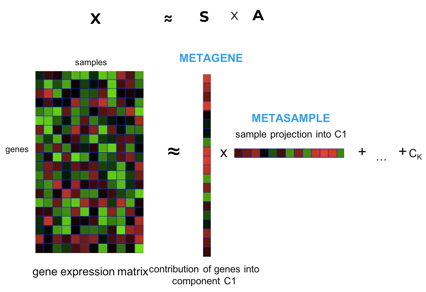 Principle of matrix factorisation of gene expression. The gene expression matrix \(X\) is decomposed into a set of metagenes \(S\) matrix and metasamples \(A\). Number of components C is defined with parametre \(k\).