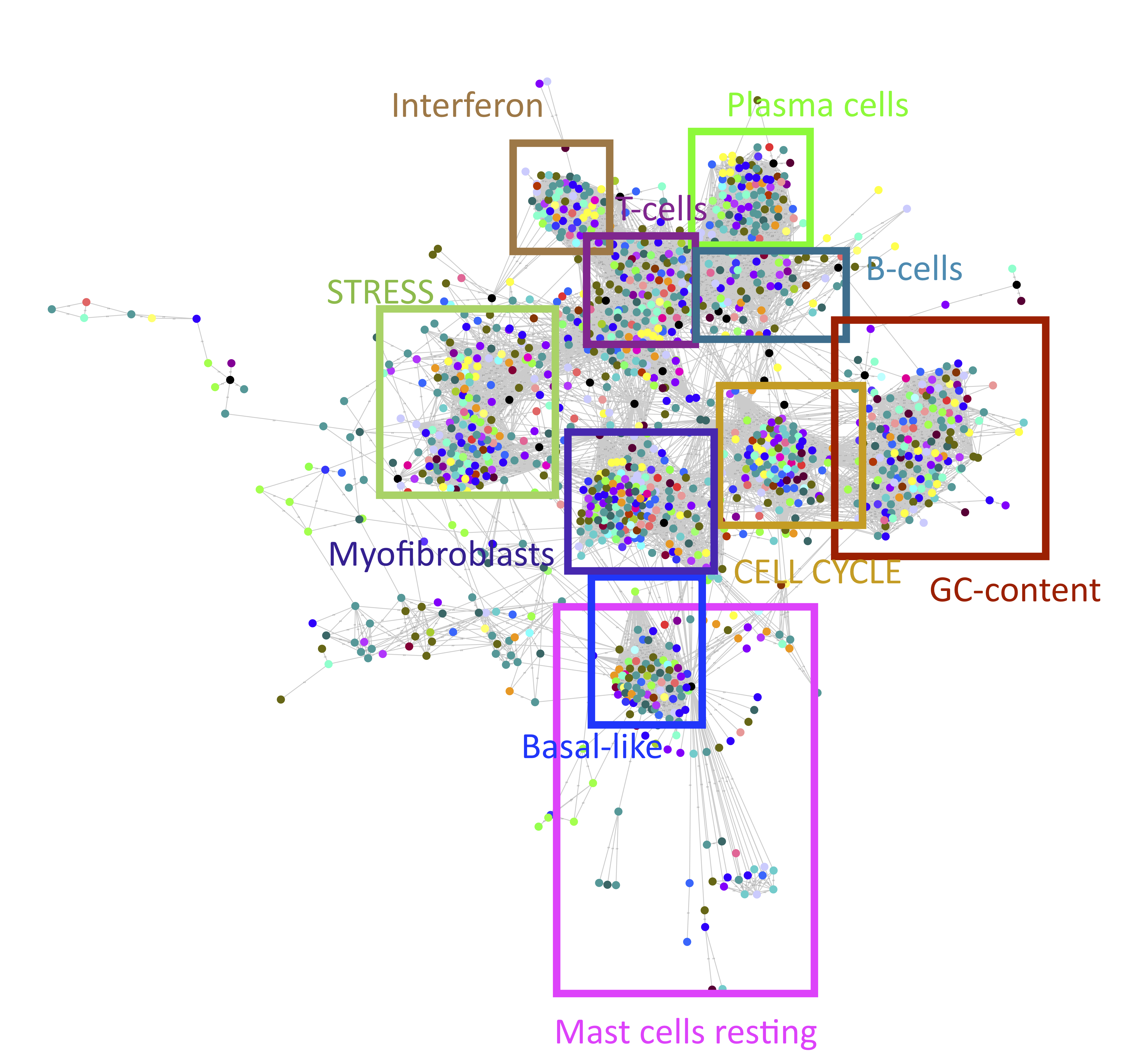 Correlation graph of metagenes. RBH network as described in (Cantini, Kairov, et al. 2018) represents reciprocal correlations between vectors of metagenes. Each point here is a metagene. Point colors correspond to the cancer type. Only reciprocal correlations were kept and with absolute Pearson correlation >0.2. The squares defining functional territories were added manually based on the top genes and correlation with the reference metagenes. Only selected processes/cell types were depicted.